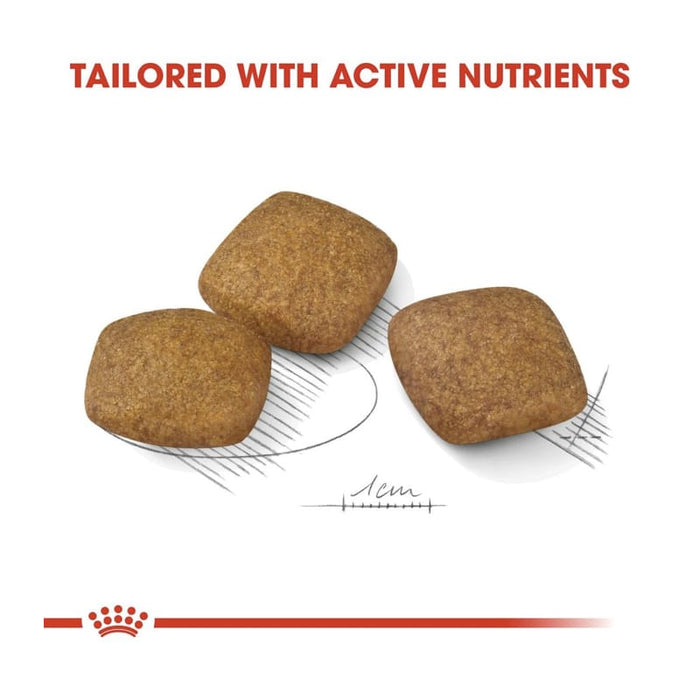 Royal Canin Maxi Relax Care Dog Food Dry