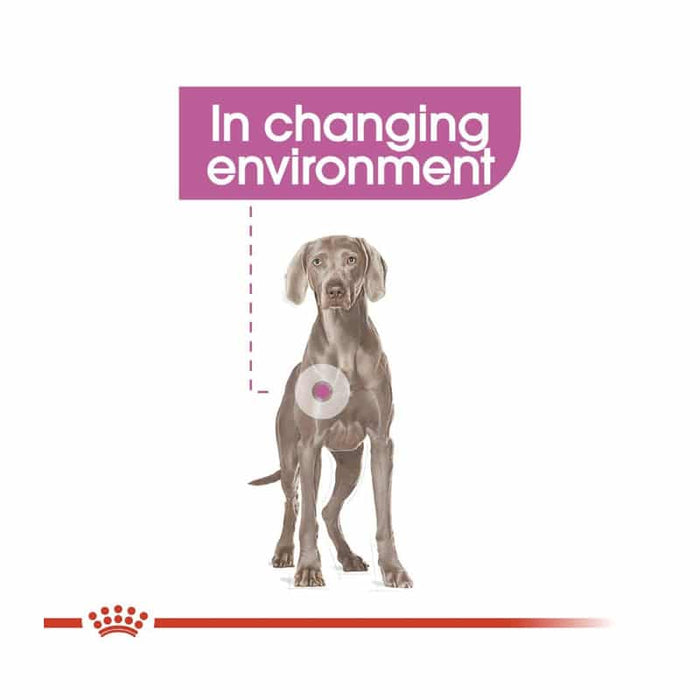 Royal Canin Maxi Relax Care Dog Food Dry