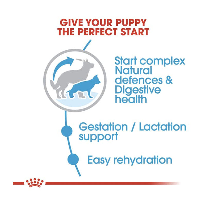 Royal Canin Maxi Starter Mother and Baby Dog Food Dry