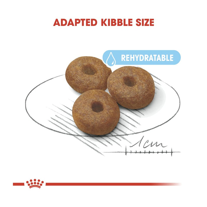 Royal Canin Maxi Starter Mother and Baby Dog Food Dry