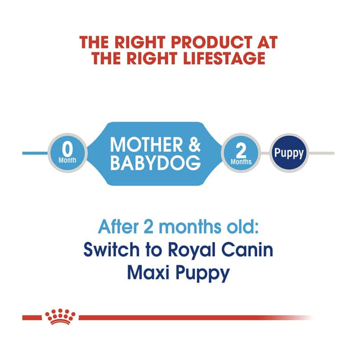 Royal Canin Maxi Starter Mother and Baby Dog Food Dry