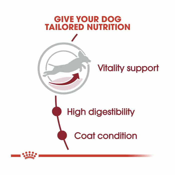Royal Canin Medium Adult 7+ Dog Food Dry