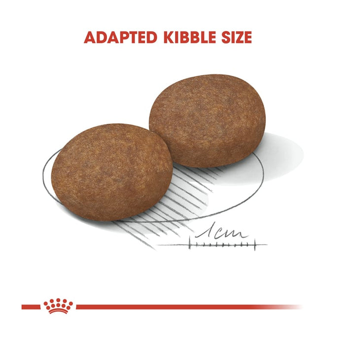 Royal Canin Medium Adult 7+ Dog Food Dry