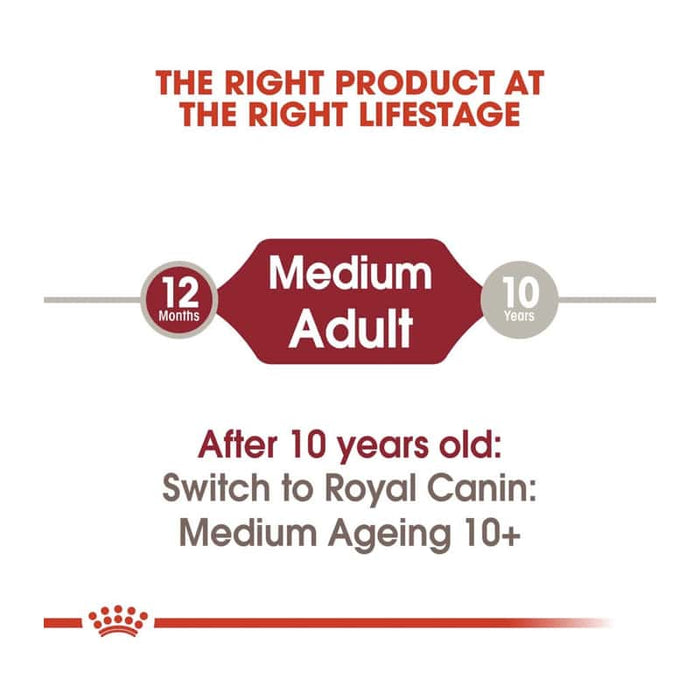 ROYAL CANIN Medium Adult Wet Dog Food (10 x 140g)