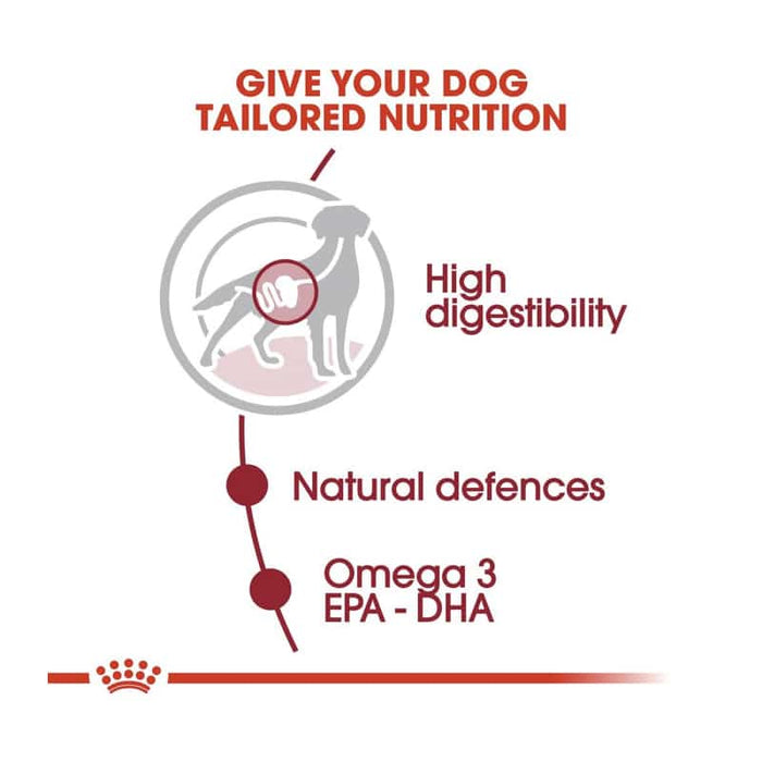 ROYAL CANIN Medium Adult Wet Dog Food (10 x 140g)