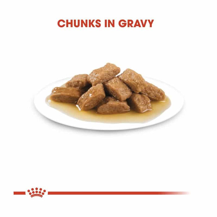 ROYAL CANIN Medium Ageing 10+ Wet Dog Food (10 x 140g)