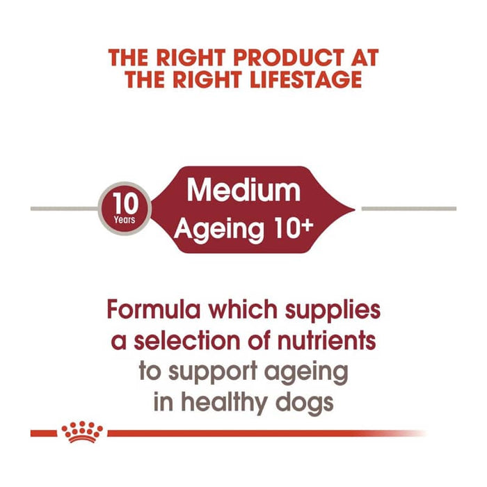 ROYAL CANIN Medium Ageing 10+ Wet Dog Food (10 x 140g)
