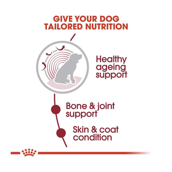 ROYAL CANIN Medium Ageing 10+ Wet Dog Food (10 x 140g)