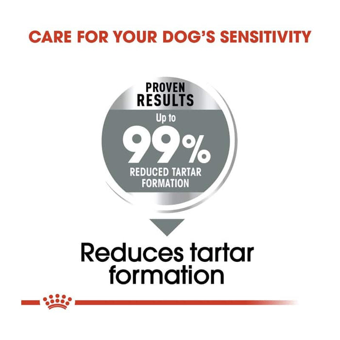 Royal Canin Medium Dental Care Dog Food Dry