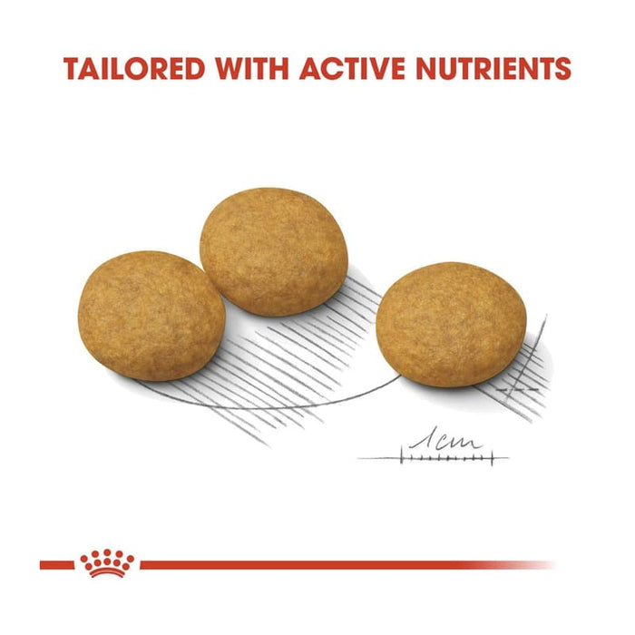 Royal Canin Medium Dermacomfort Dog Food Dry