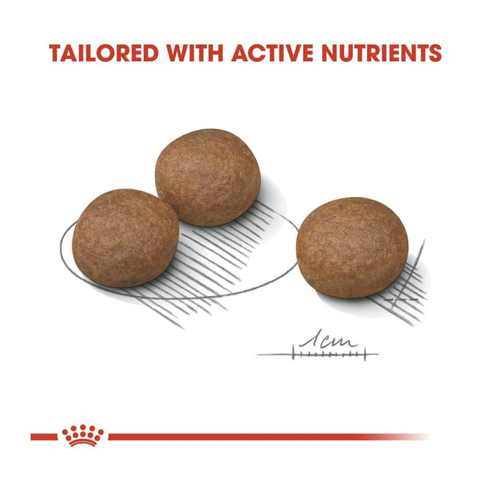 Royal Canin Medium Digestive Care Dog Food Dry