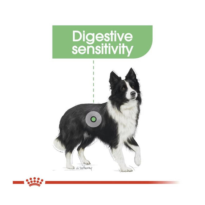 Royal Canin Medium Digestive Care Dog Food Dry