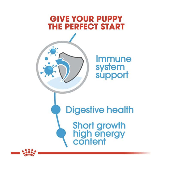 Royal Canin Medium Puppy Food Dry