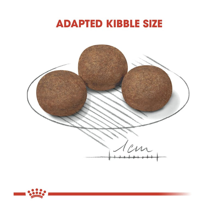 Royal Canin Medium Puppy Food Dry