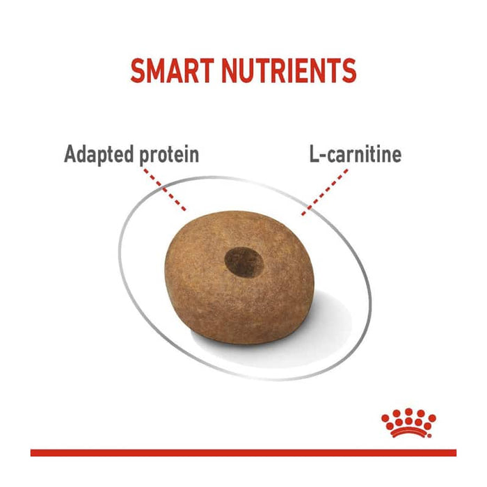 Royal Canin Medium Light Weight Care Dog Food Dry