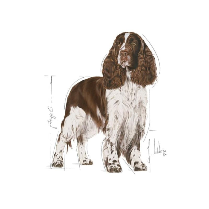 Royal Canin Medium Light Weight Care Dog Food Dry