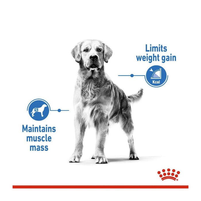 Royal Canin Medium Light Weight Care Dog Food Dry