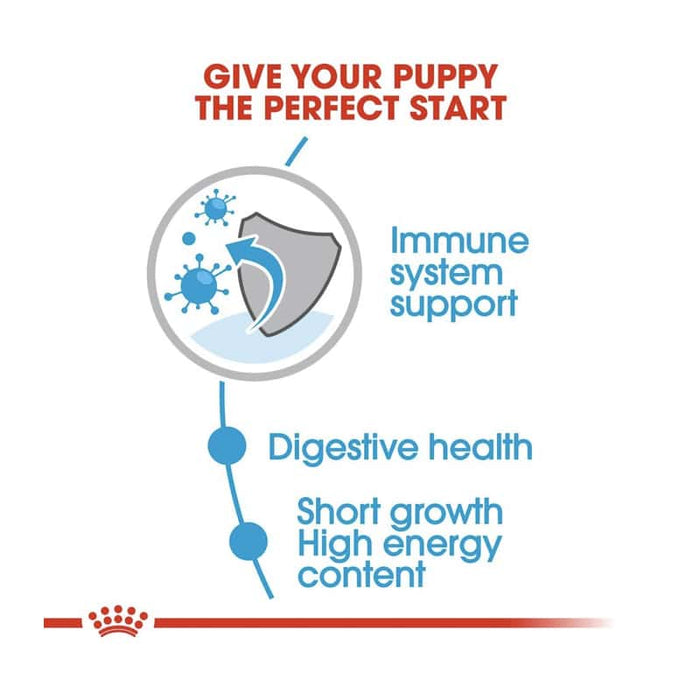 ROYAL CANIN Medium Wet Puppy Food (10 x 140g)