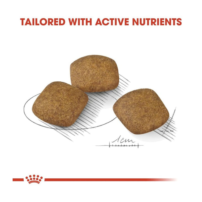 Royal Canin Medium Relax Care Dog Food Dry