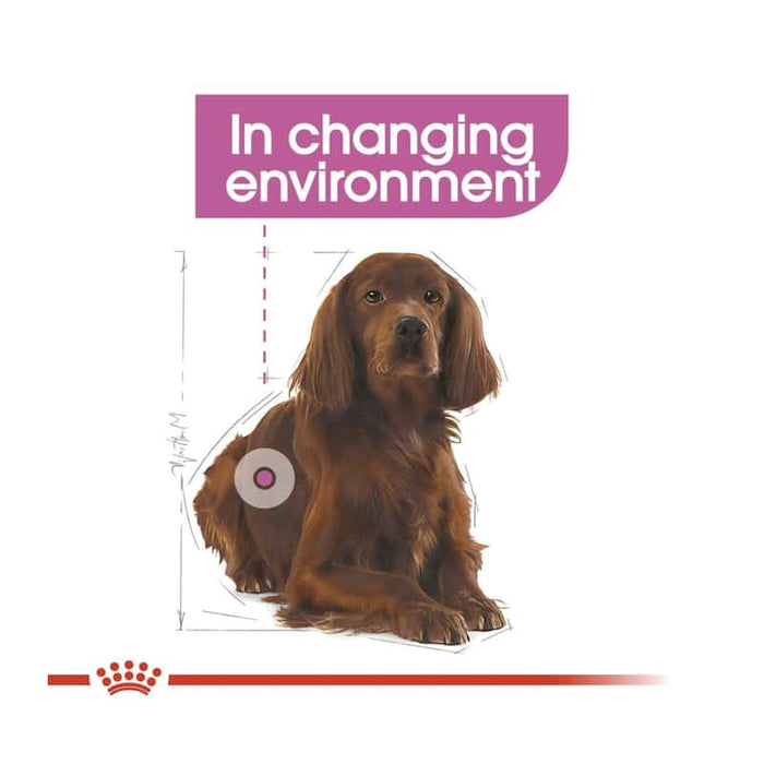 Royal Canin Medium Relax Care Dog Food Dry