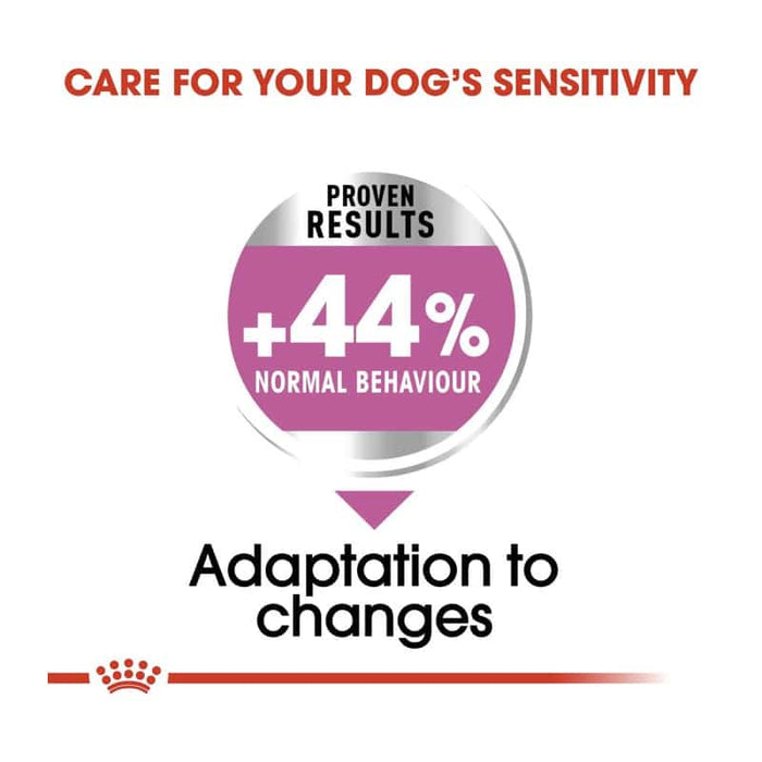 Royal Canin Medium Relax Care Dog Food Dry