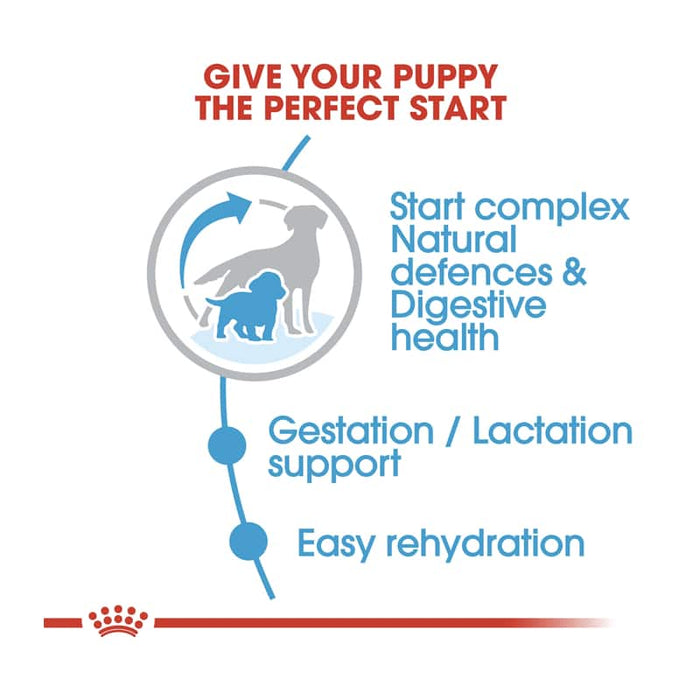 Royal Canin Medium Starter Mother and Baby Dog Food Dry