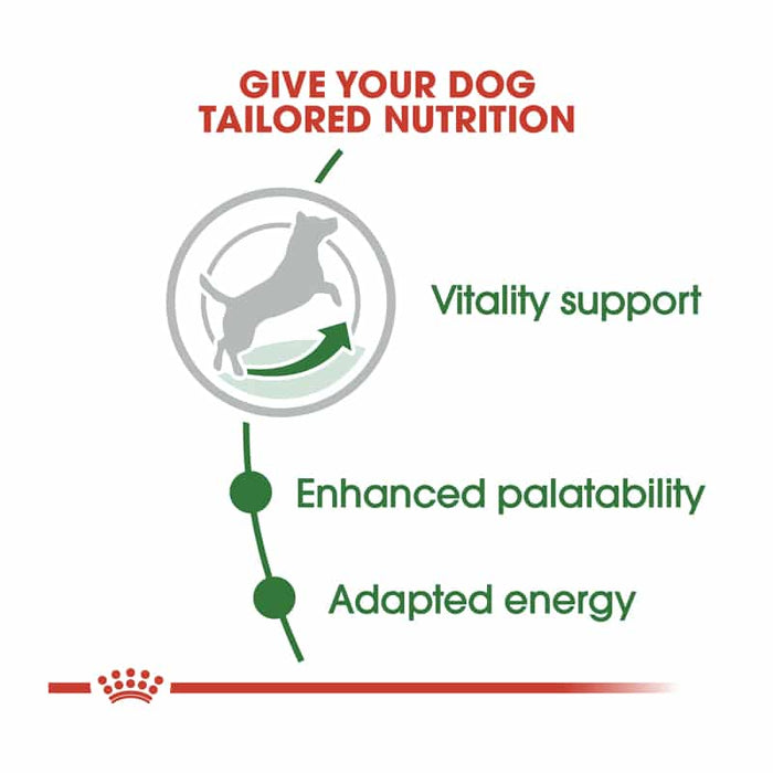 Royal Canin Mini Adult 8+ Dog Food Dry