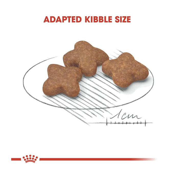 Royal Canin Mini Adult 8+ Dog Food Dry