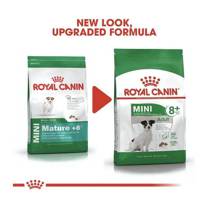 Royal Canin Mini Adult 8+ Dog Food Dry