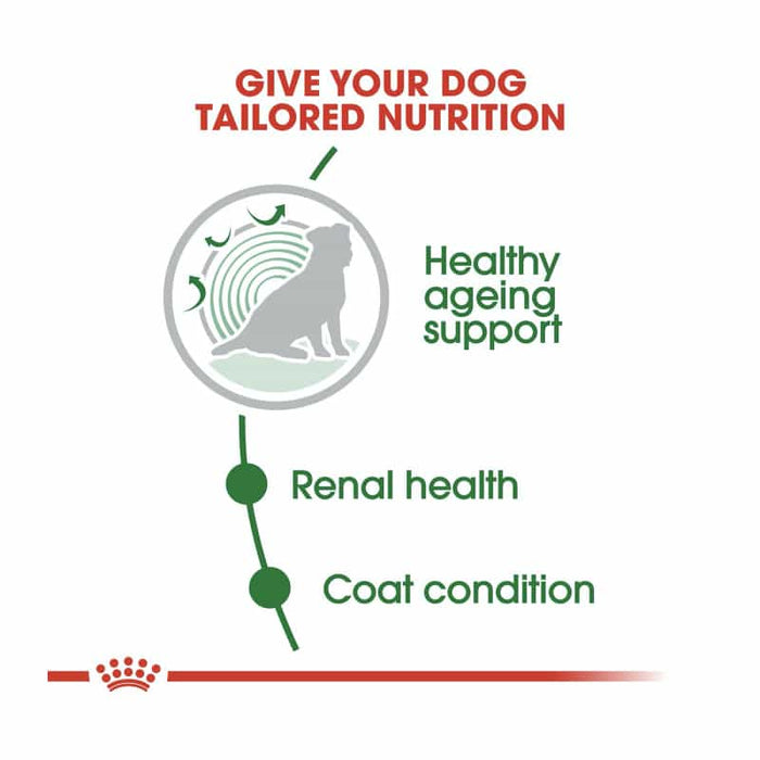 Royal Canin Mini Adult Ageing 12+ Dog Food Dry