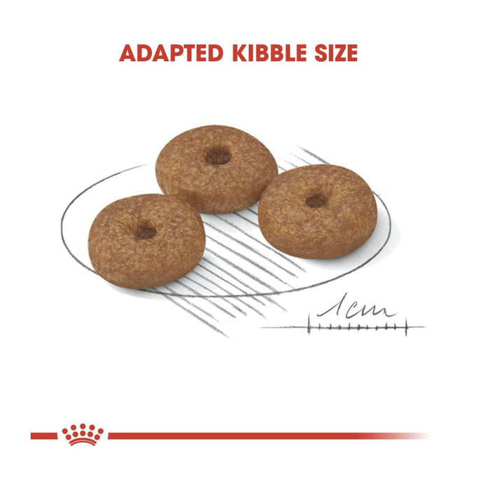 Royal Canin Mini Adult Ageing 12+ Dog Food Dry