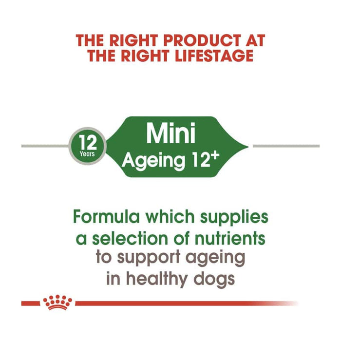 Royal Canin Mini Adult Ageing 12+ Dog Food Dry