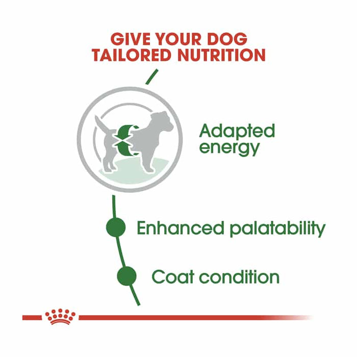 Royal Canin Mini Adult Dog Food Dry