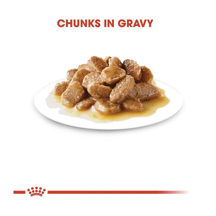 ROYAL CANIN Mini Adult Wet Dog Food (12 x 85g)