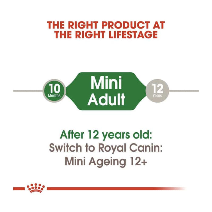 ROYAL CANIN Mini Adult Wet Dog Food (12 x 85g)