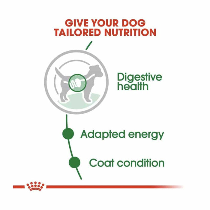 ROYAL CANIN Mini Adult Wet Dog Food (12 x 85g)