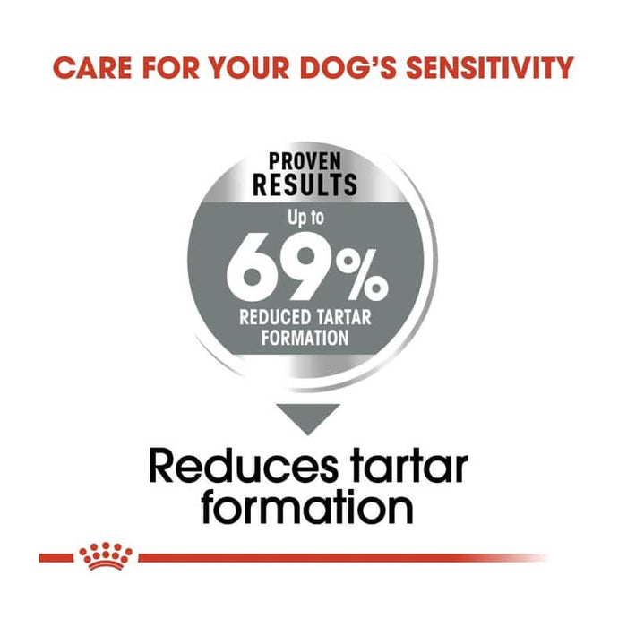 Royal Canin Mini Dental Care Dog Food Dry