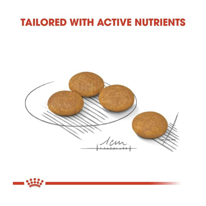 Royal Canin Mini Dermacomfort Dog Food Dry