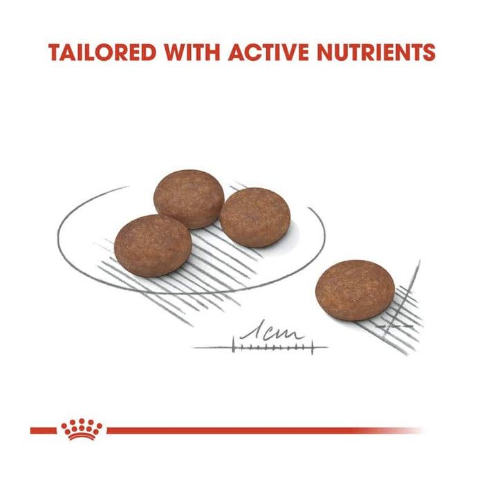 Royal Canin Mini Digestive Care Dog Food Dry