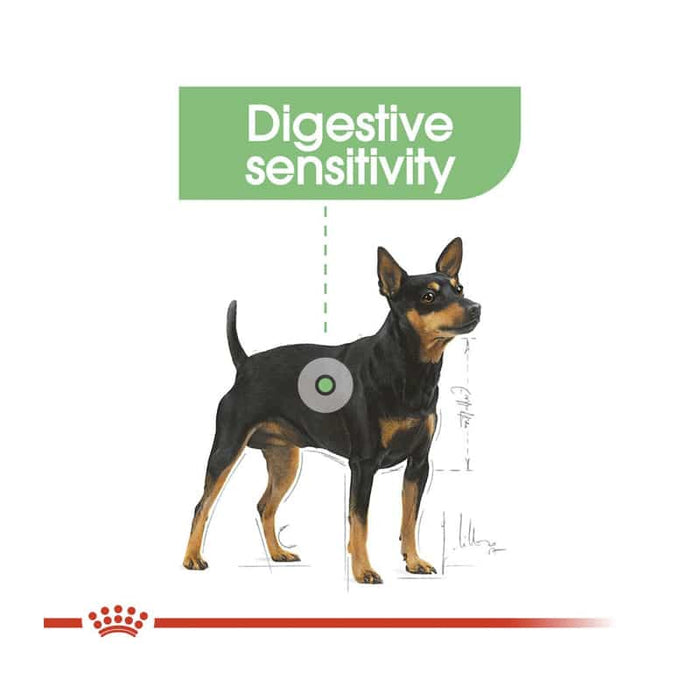 Royal Canin Mini Digestive Care Dog Food Dry