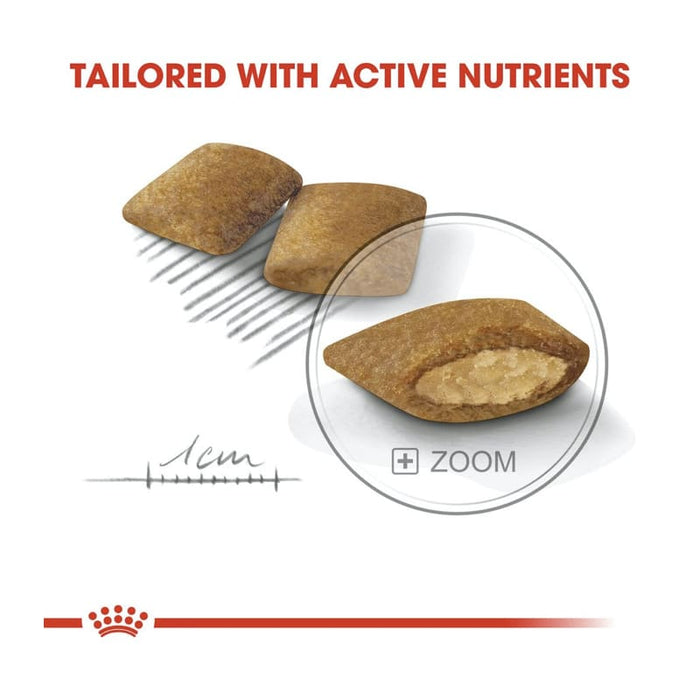 Royal Canin Mini Exigent Dog Food Dry