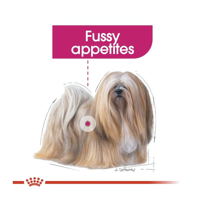 Royal Canin Mini Exigent Dog Food Dry