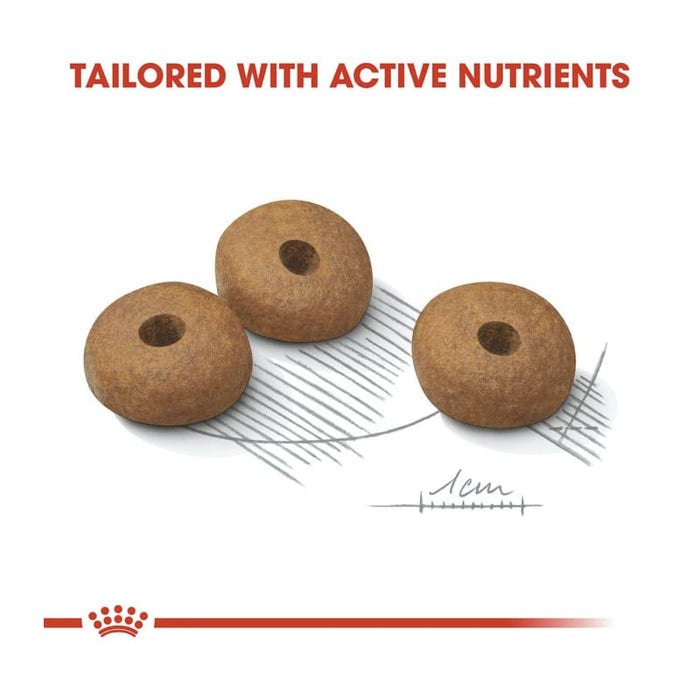 Royal Canin Mini Light Weight Care Dog Food Dry