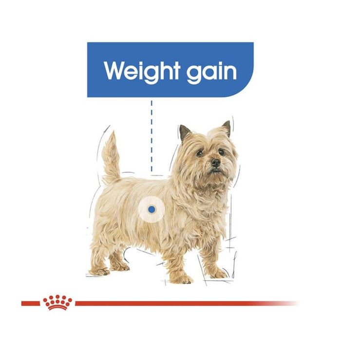 Royal Canin Mini Light Weight Care Dog Food Dry