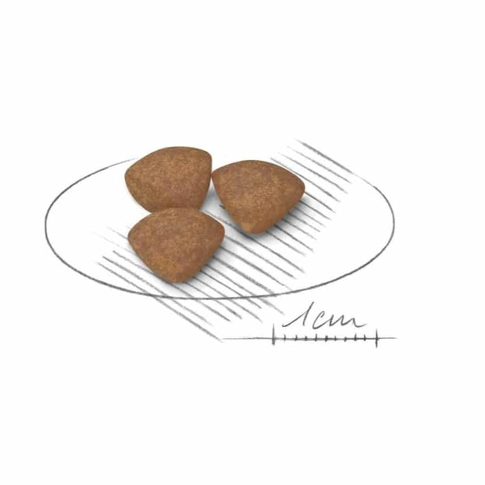 Royal Canin Mini Starter Mother and Baby Dog Food Dry