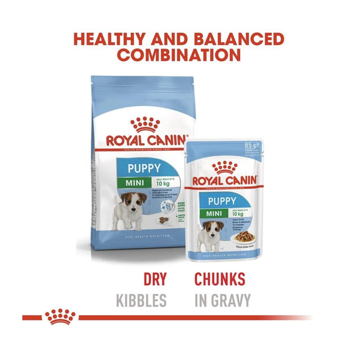 ROYAL CANIN Mini Wet Puppy Food (12 x 85g)