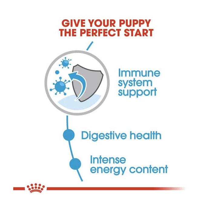 ROYAL CANIN Mini Wet Puppy Food (12 x 85g)