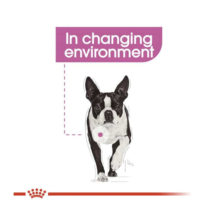 Royal Canin Mini Relax Care Dog Food Dry
