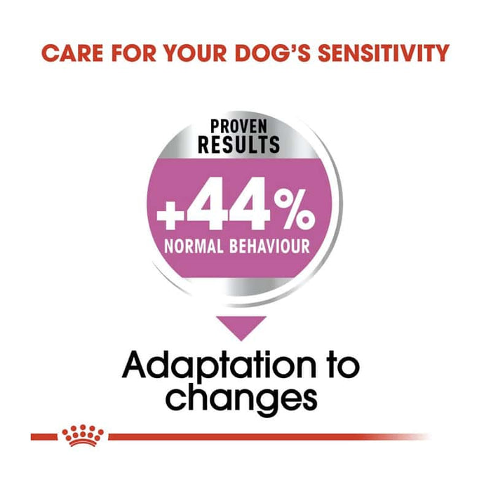 Royal Canin Mini Relax Care Dog Food Dry