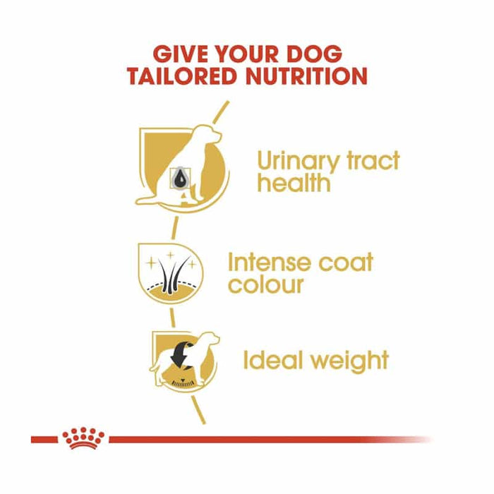 Royal Canin Schnauzer Adult Dog Food Dry